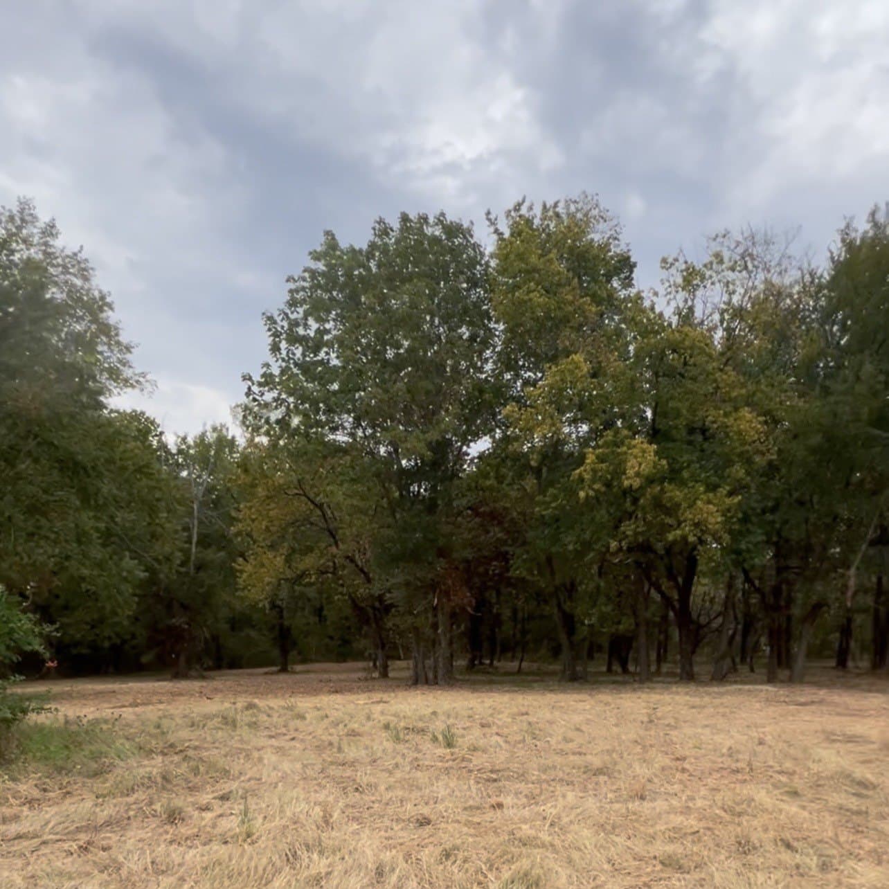 10 acres in Hopkins County - photo 14