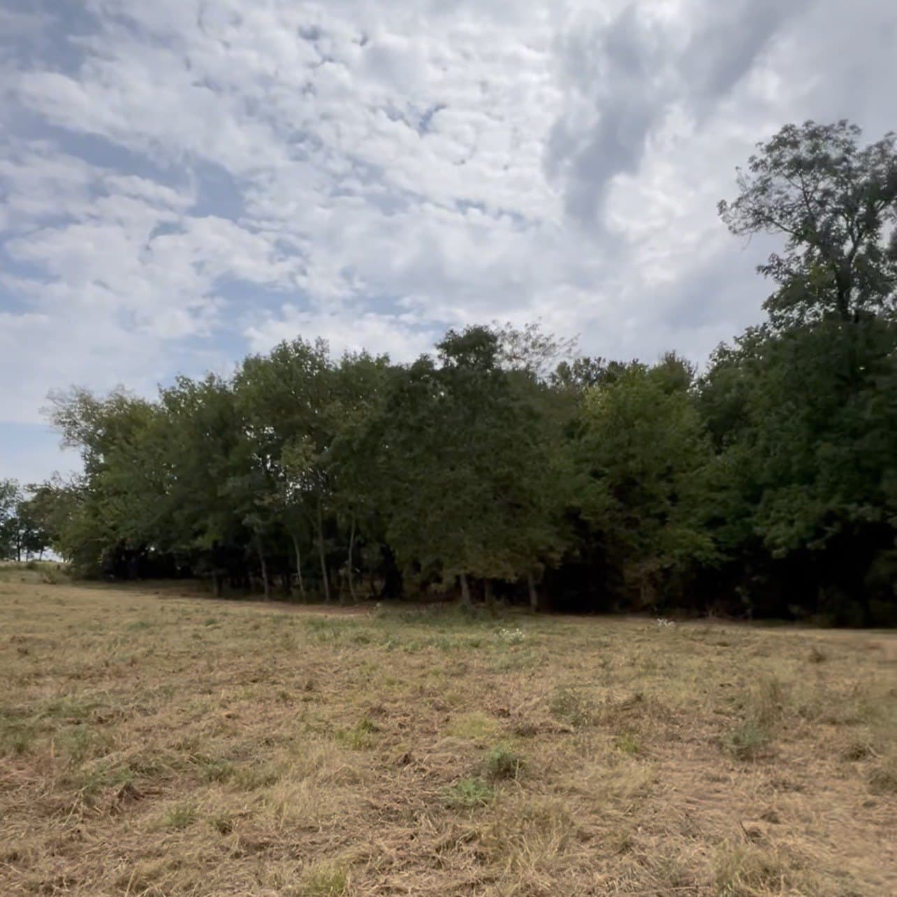 10 acres in Hopkins County - photo 3