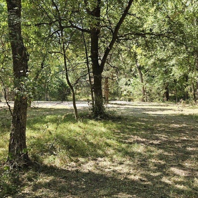10 acres in Hopkins County - photo 9