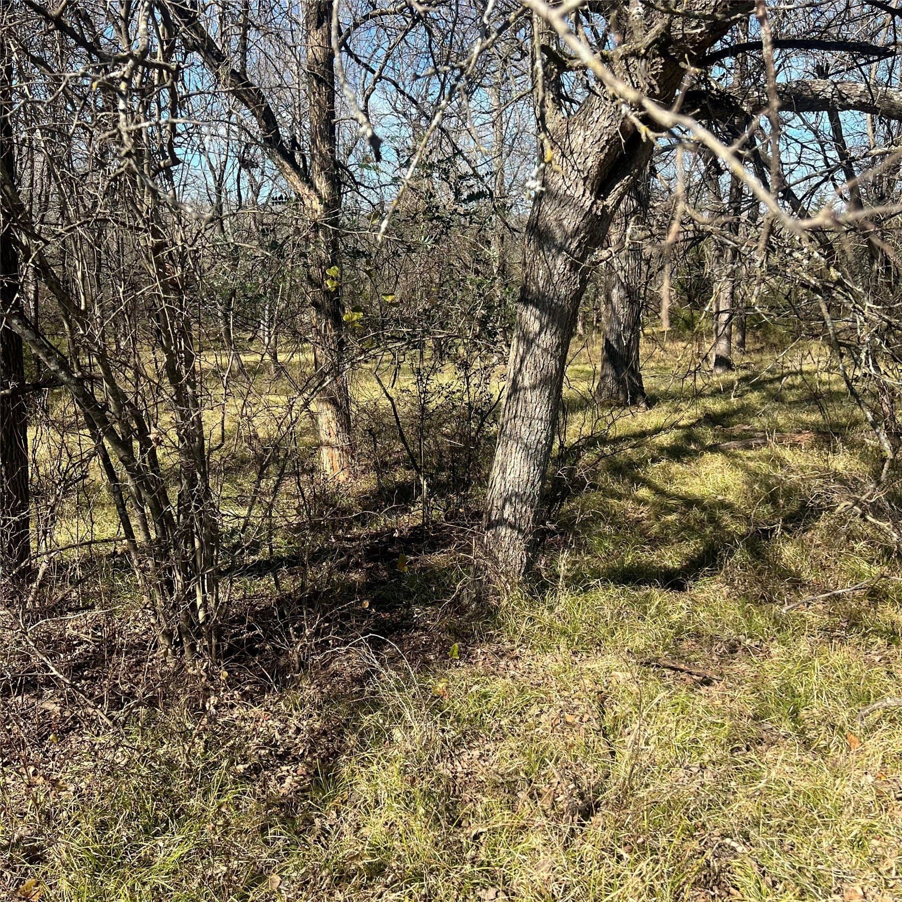 10 acres in Hopkins County - photo 6