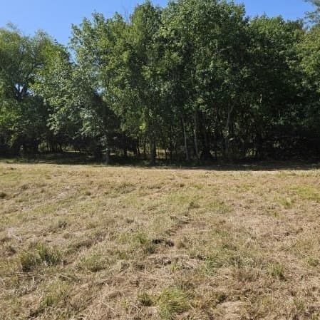 10 acres in Hopkins County - photo 13