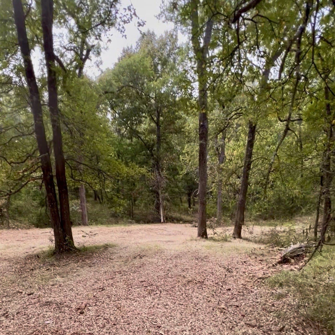 10 acres in Hopkins County - photo 10