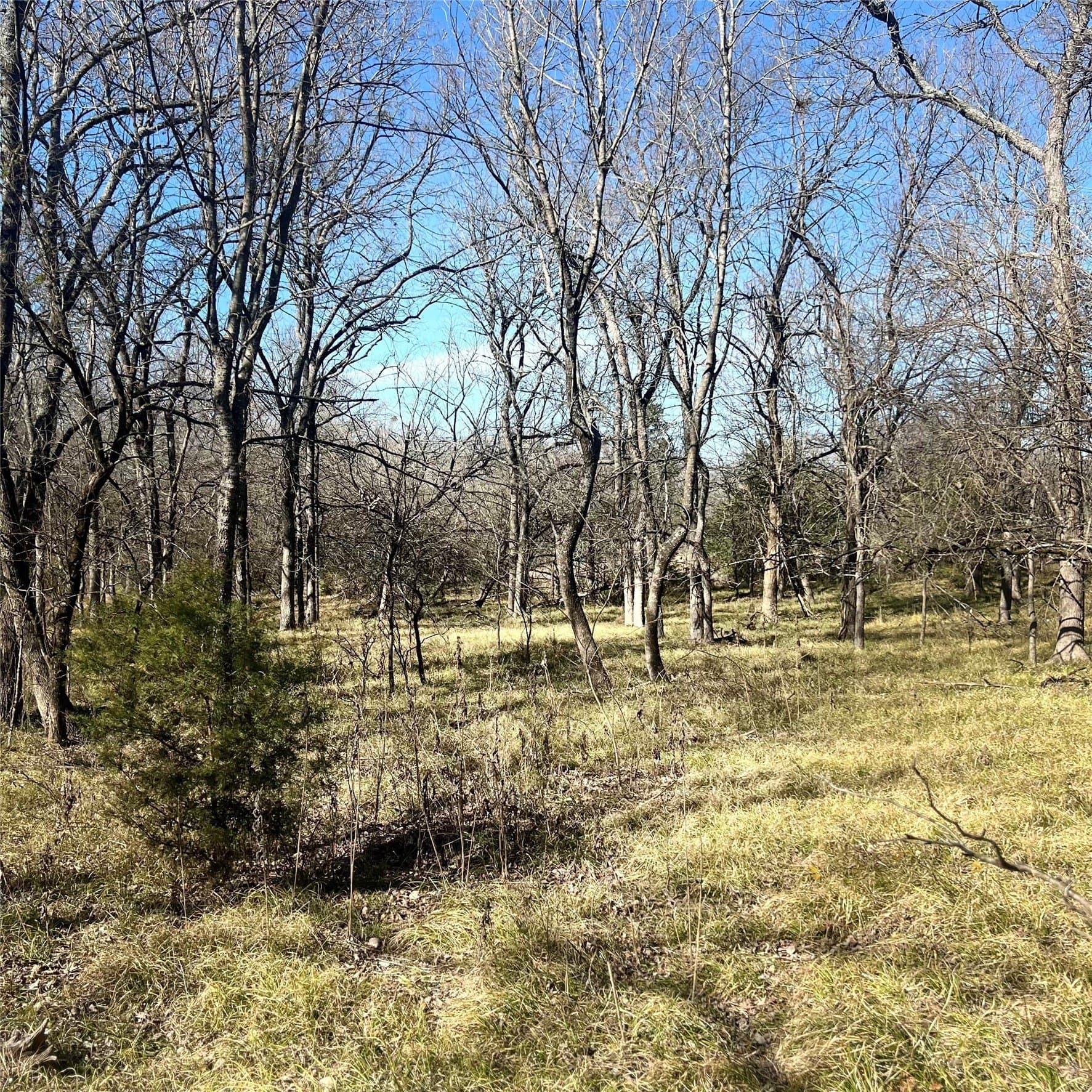 10 acres in Hopkins County gallery image 4