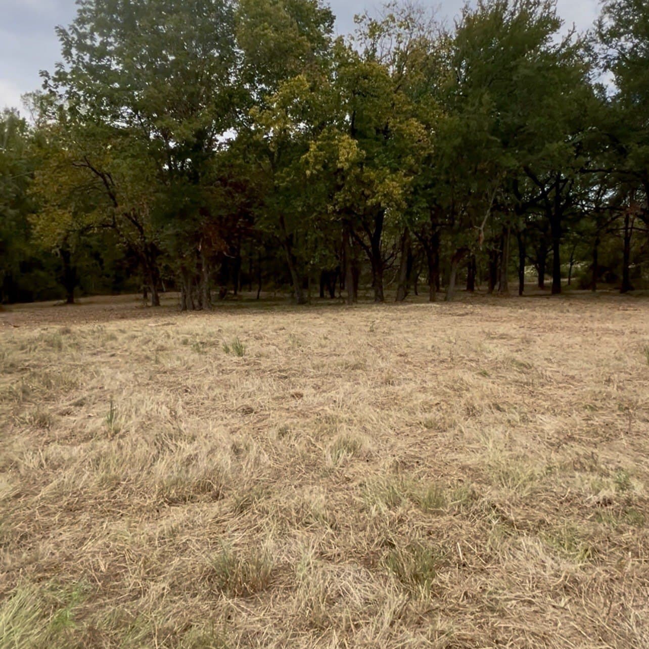 10 acres in Hopkins County - photo 4