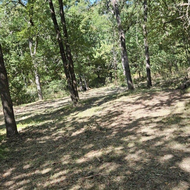 10 acres in Hopkins County - photo 5