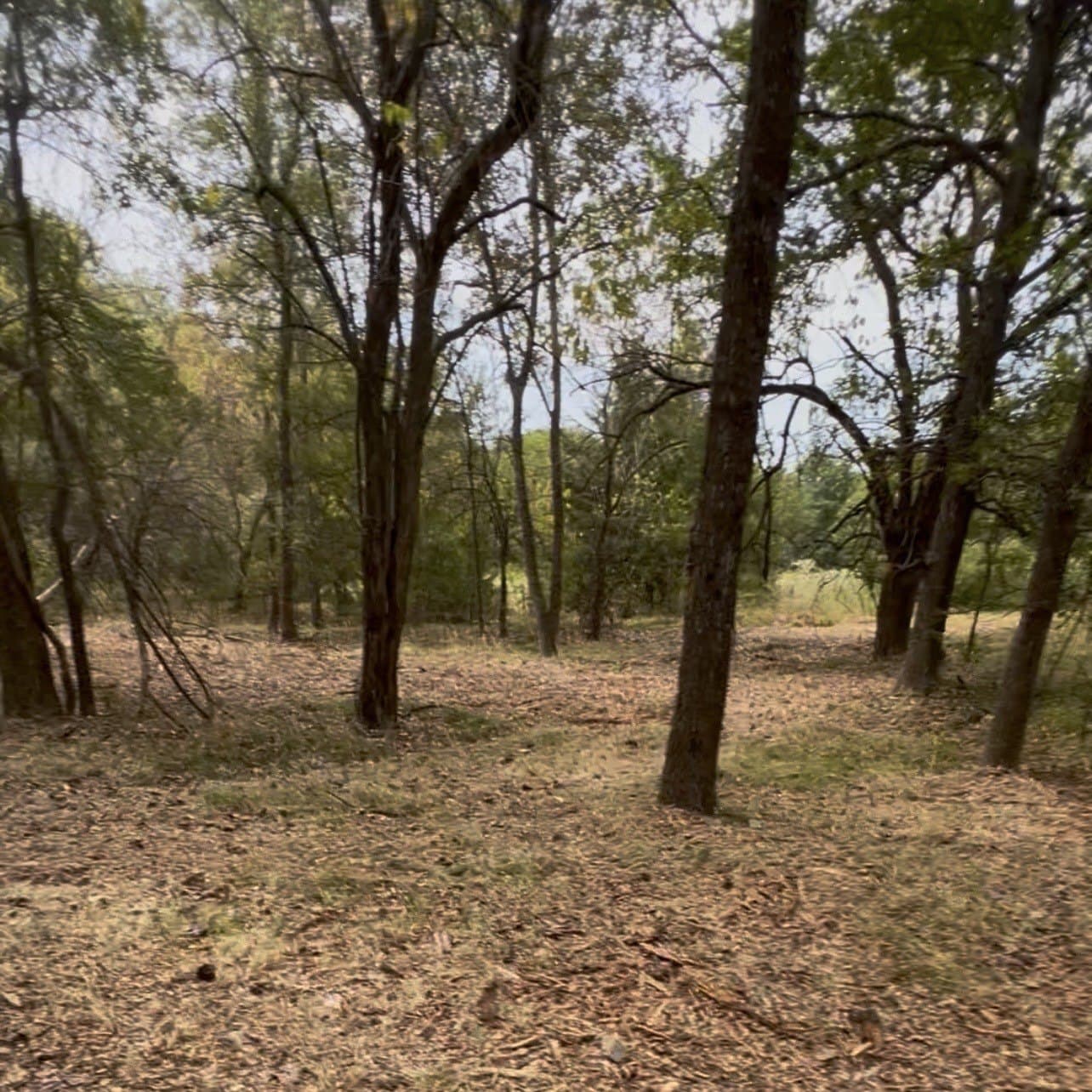 10 acres in Hopkins County - photo 8