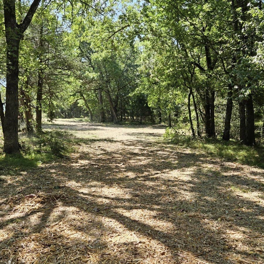10 acres in Hopkins County - photo 6