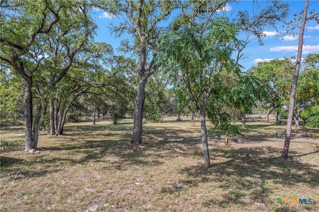 16 acres in Hays County gallery image 4