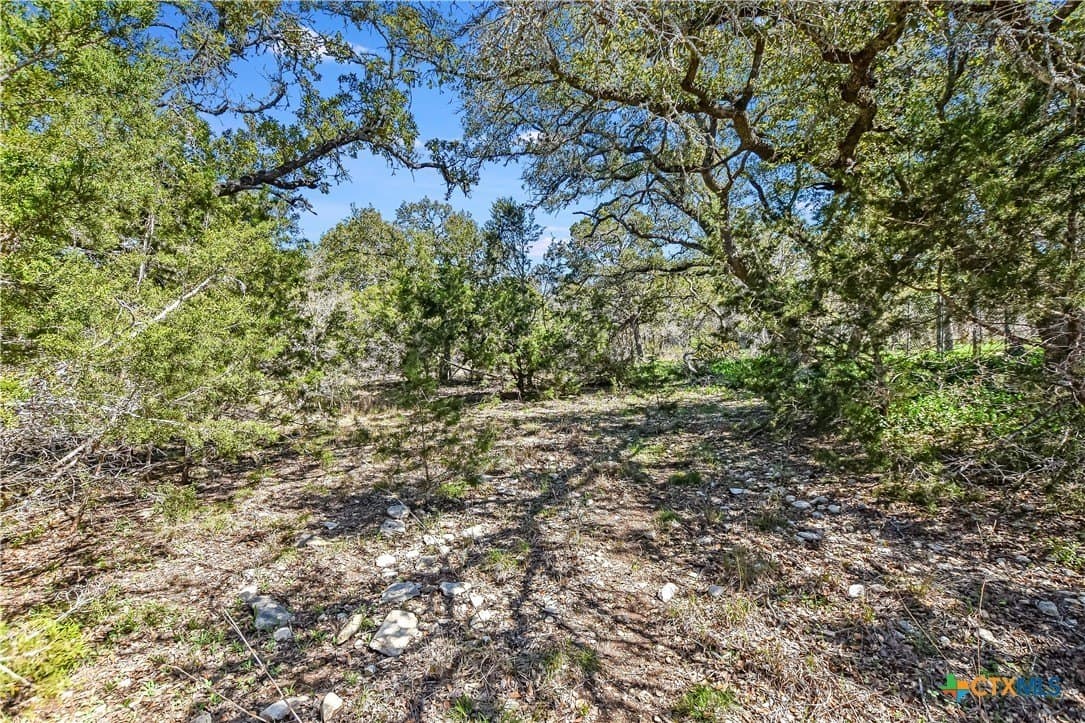 16 acres in Hays County featured view