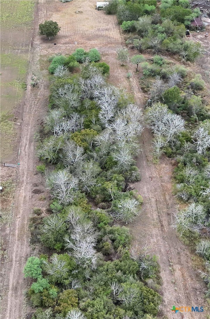 8.23 acres in Victoria County - photo 9