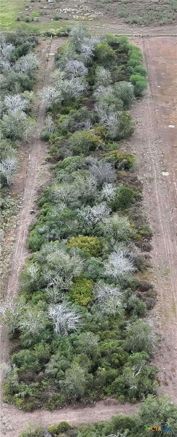 8.23 acres in Victoria County - photo 10