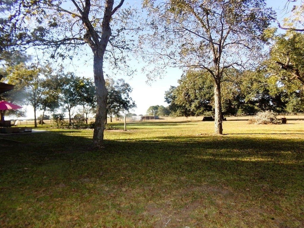 2 acres in Colorado County - photo 12