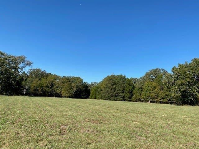 42.79 acres in Henderson County - photo 22