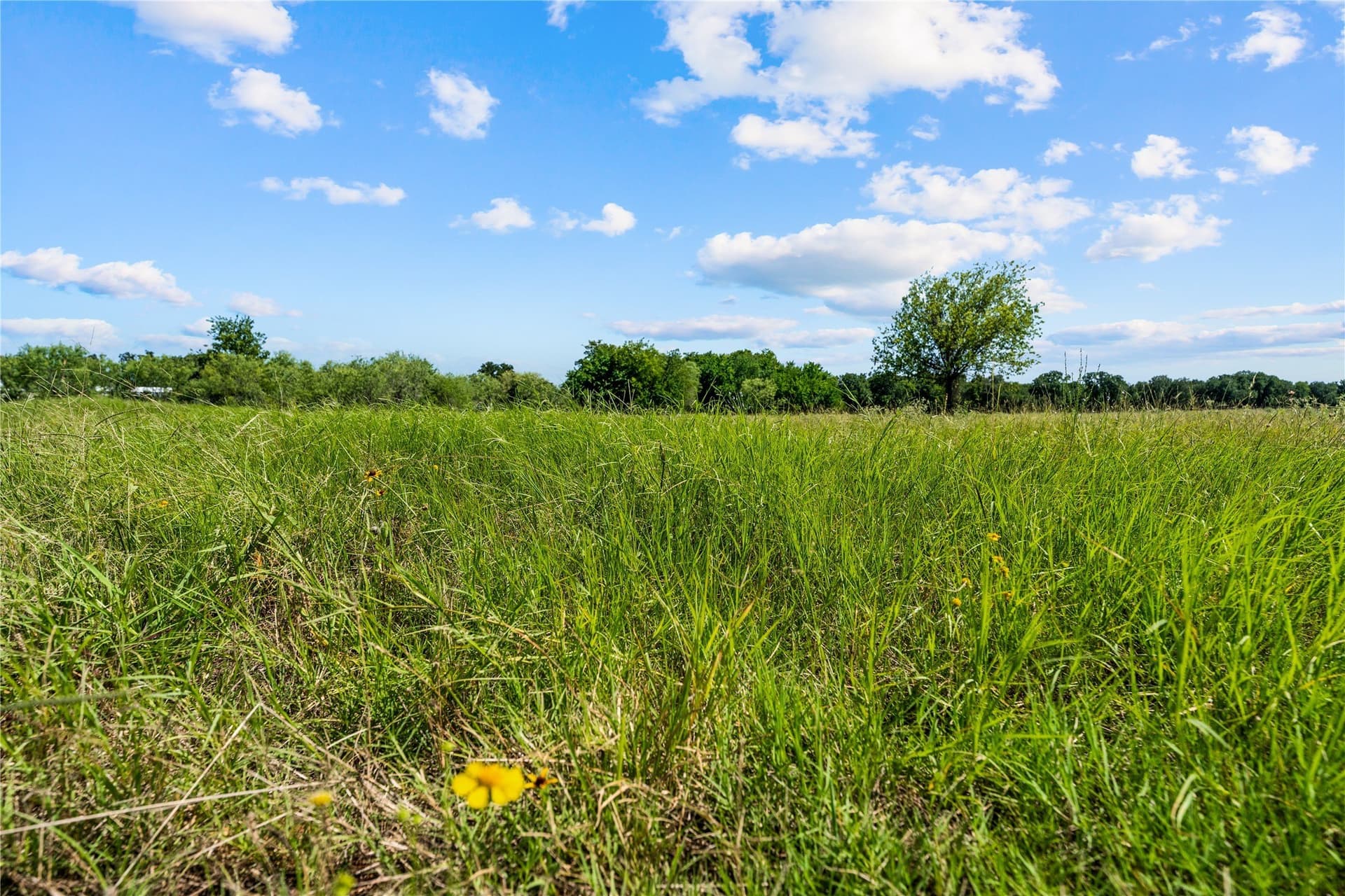 1.03 acres in Hill County - photo 3
