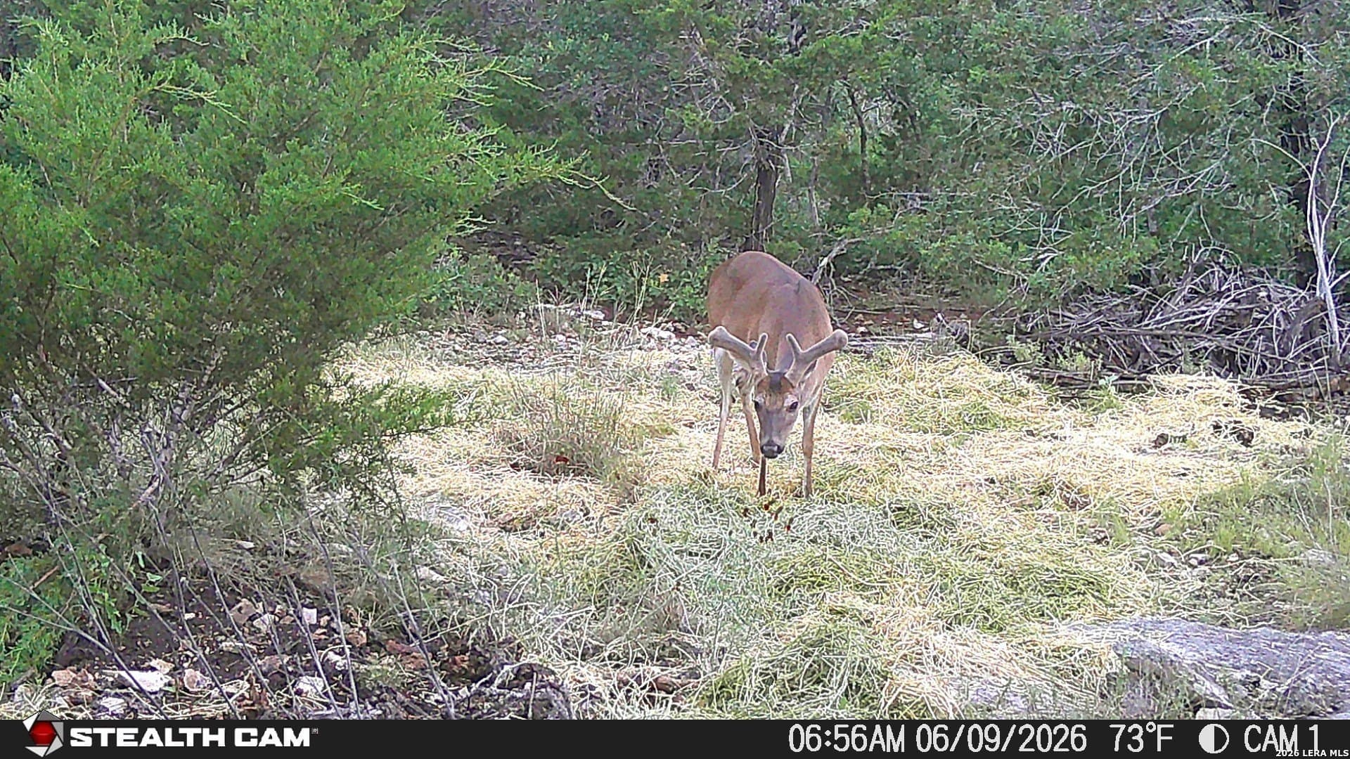 51.1 acres in Kerr County - photo 15