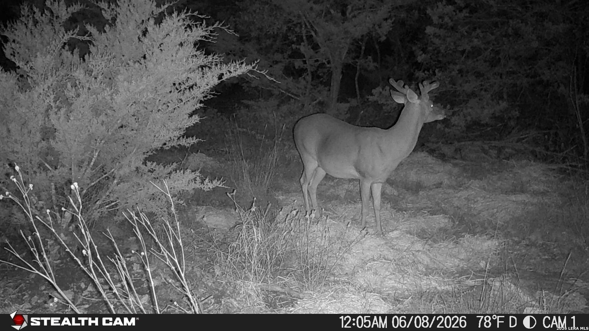51.1 acres in Kerr County - photo 8