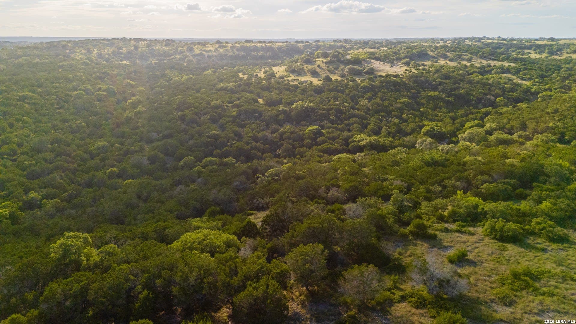 51.1 acres in Kerr County gallery image 3