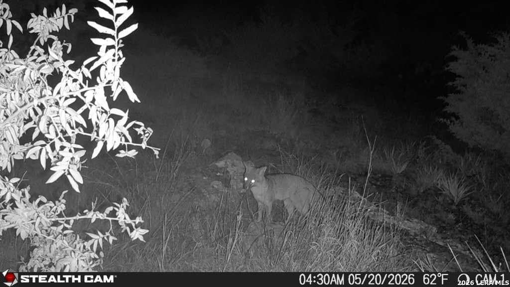 51.1 acres in Kerr County - photo 9