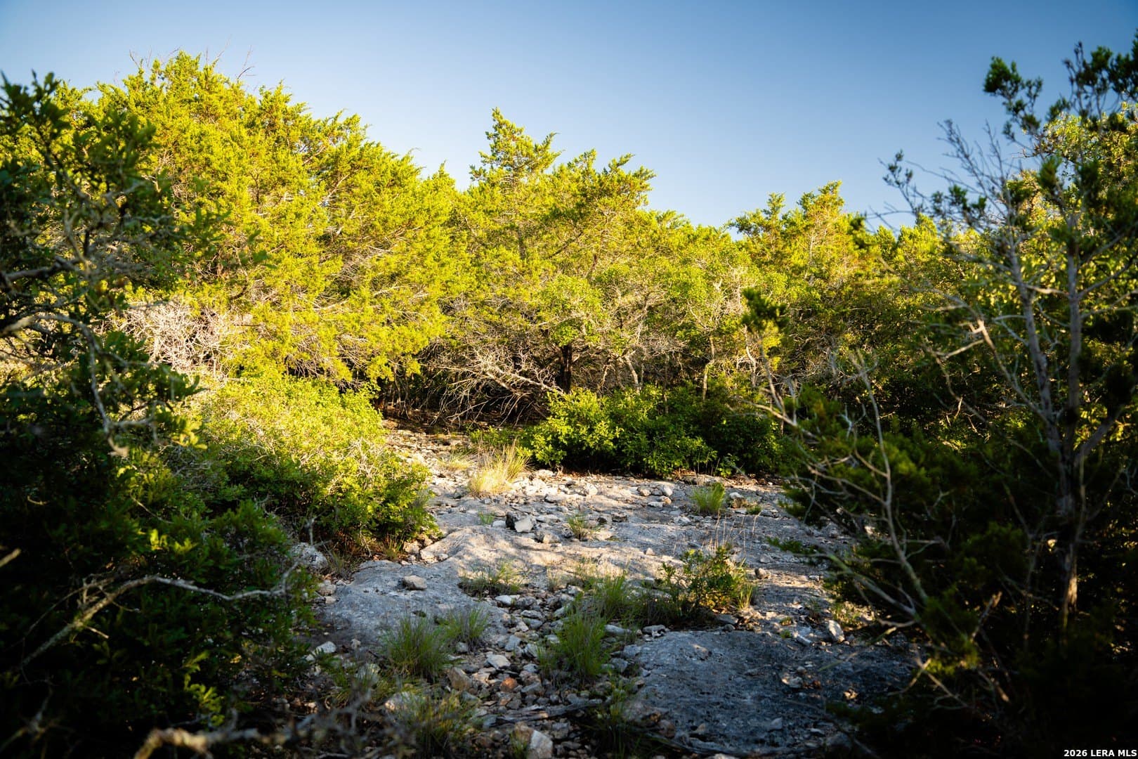 51.1 acres in Kerr County featured view