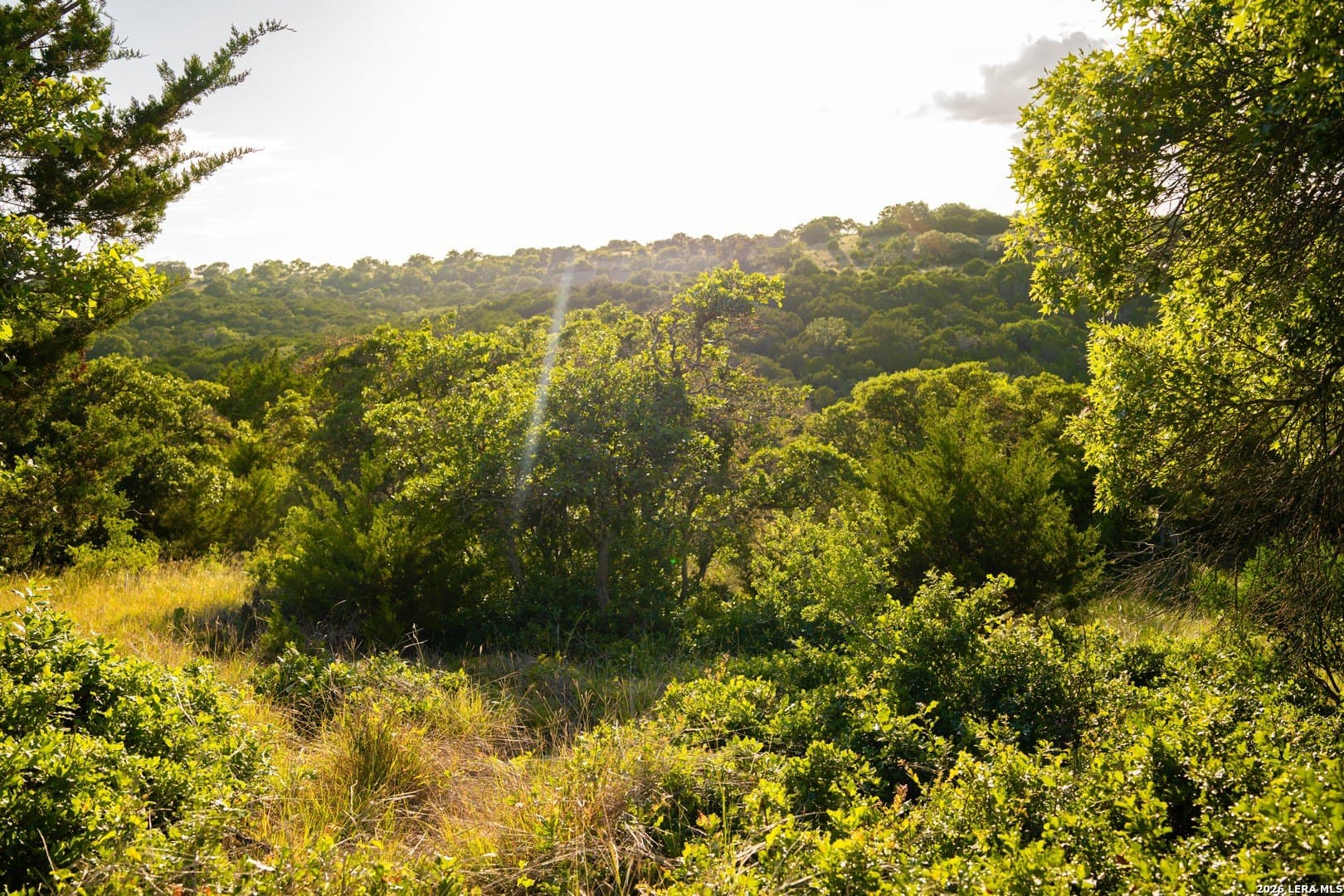 51.1 acres in Kerr County - photo 24