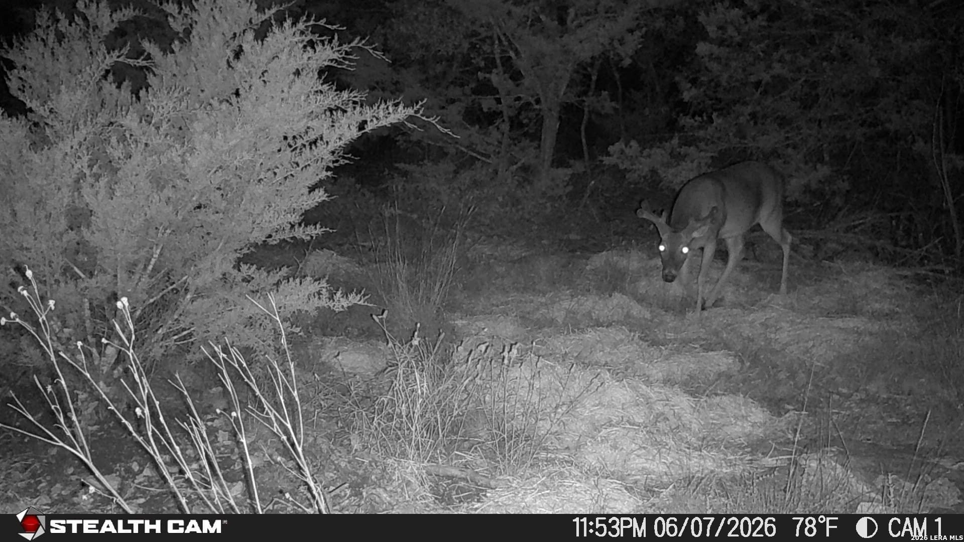 51.1 acres in Kerr County - photo 18