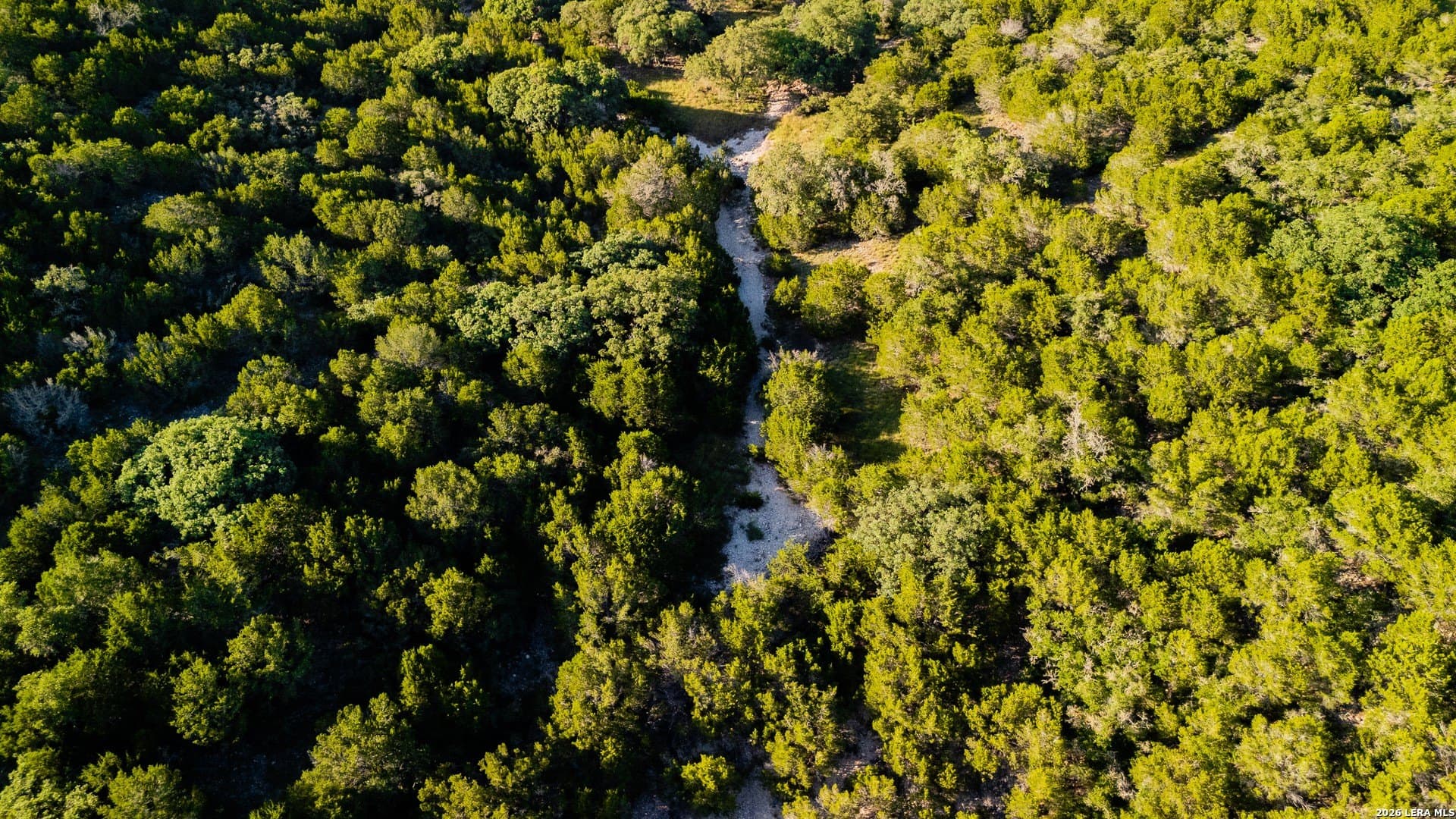 51.1 acres in Kerr County gallery image 4