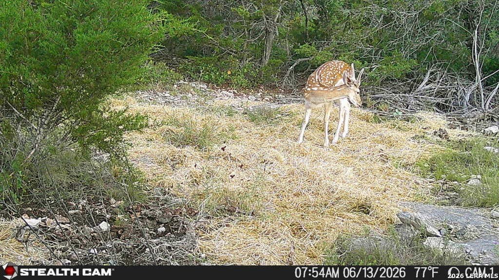 51.1 acres in Kerr County - photo 14