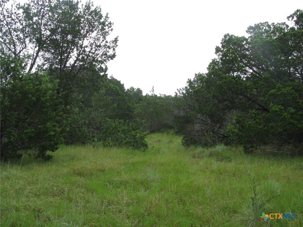 129.81 acres in Coryell County - photo 27