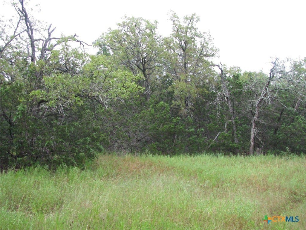 129.81 acres in Coryell County - photo 37