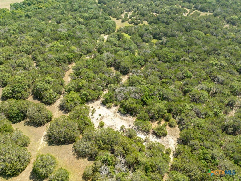 129.81 acres in Coryell County - photo 28