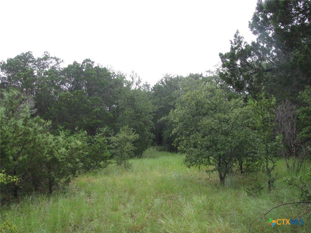 129.81 acres in Coryell County - photo 12