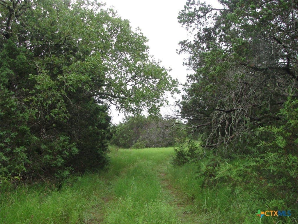 129.81 acres in Coryell County - photo 19