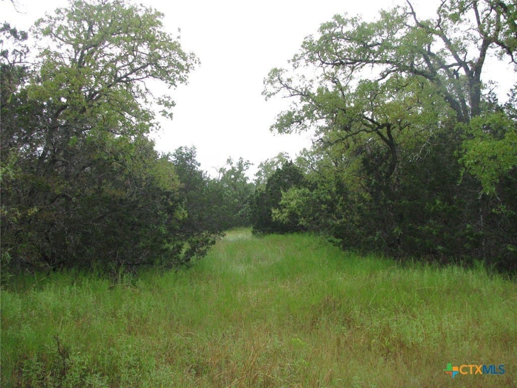 129.81 acres in Coryell County - photo 14