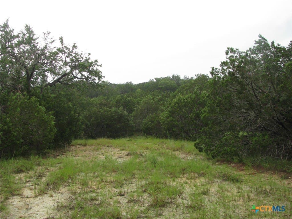 129.81 acres in Coryell County - photo 24