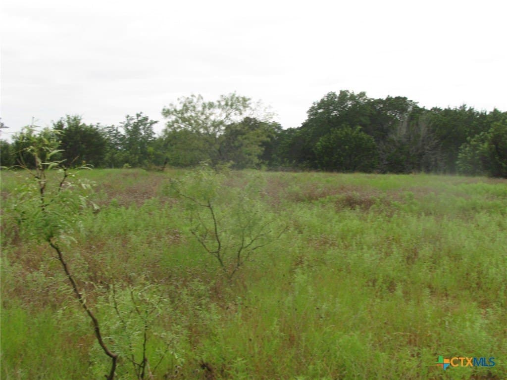 129.81 acres in Coryell County - photo 10