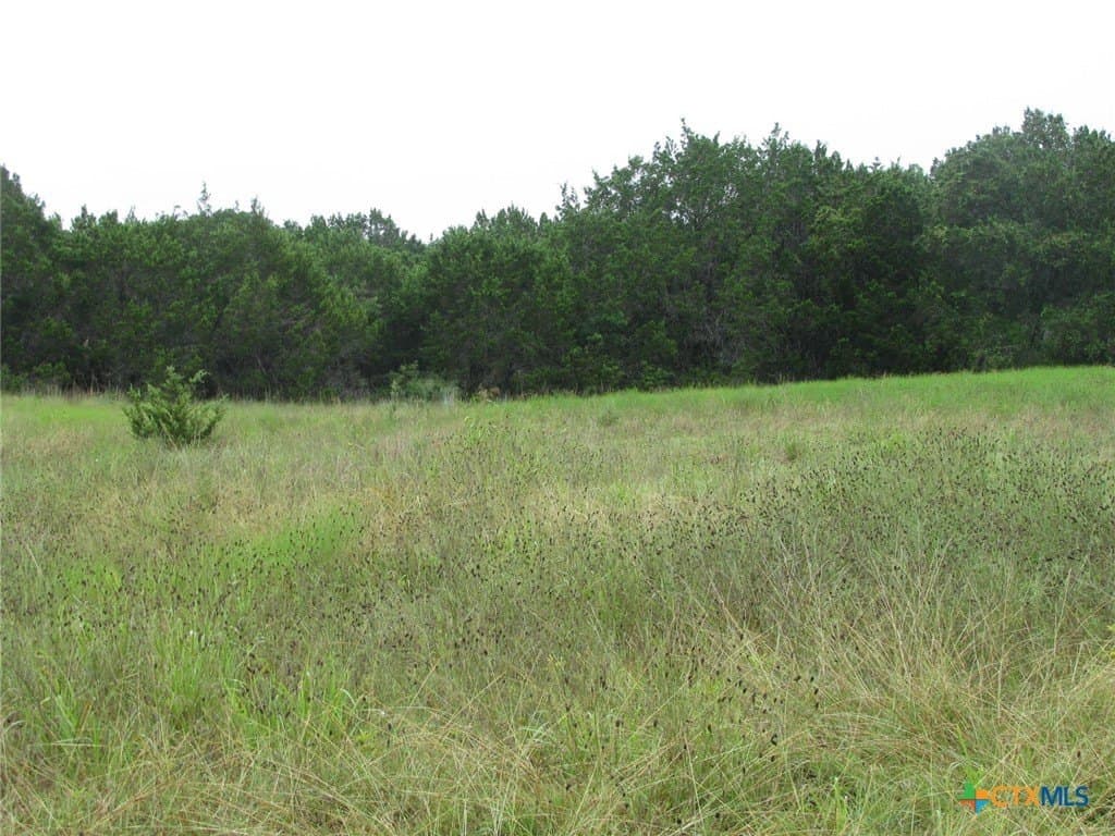 129.81 acres in Coryell County - photo 34