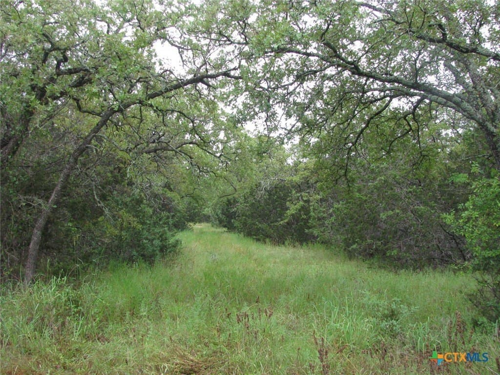 129.81 acres in Coryell County - photo 38