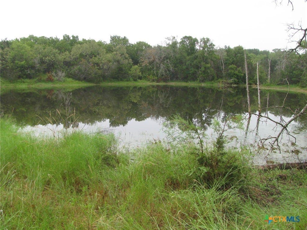 129.81 acres in Coryell County gallery image 3