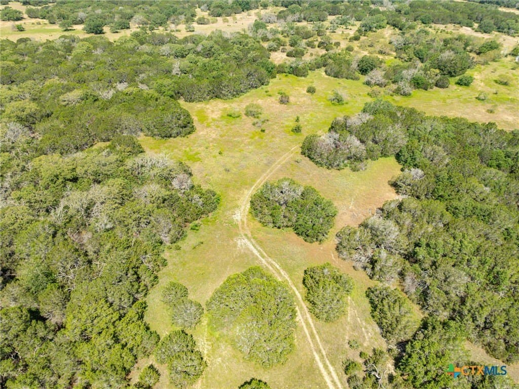 129.81 acres in Coryell County - photo 25