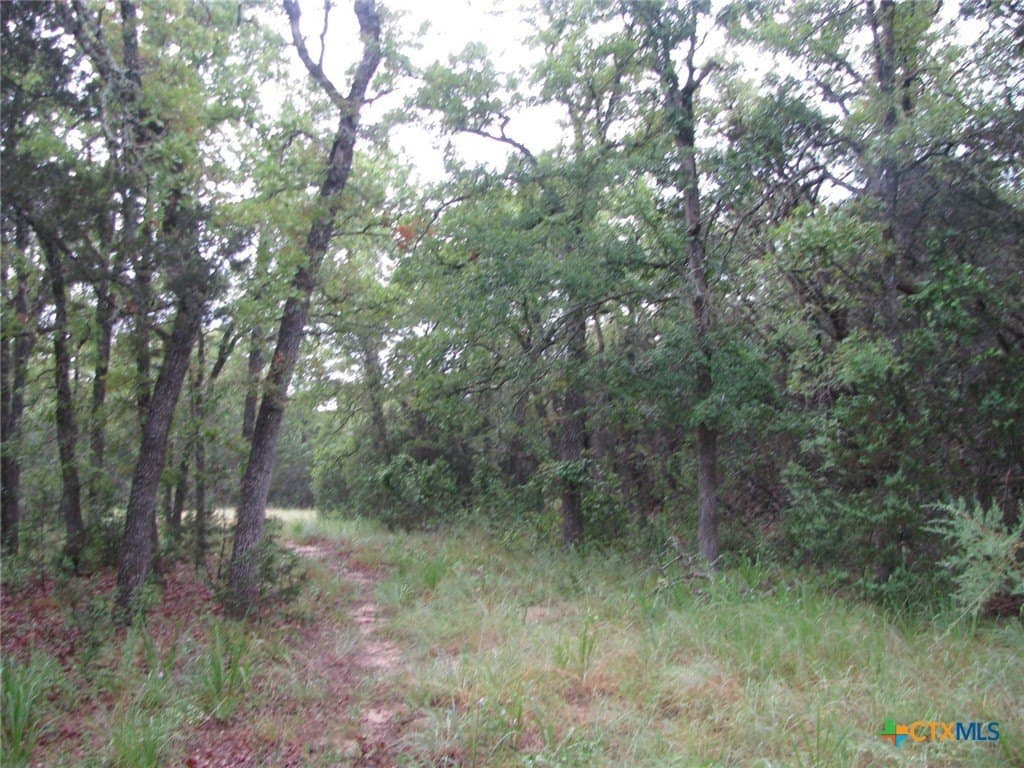 129.81 acres in Coryell County - photo 7