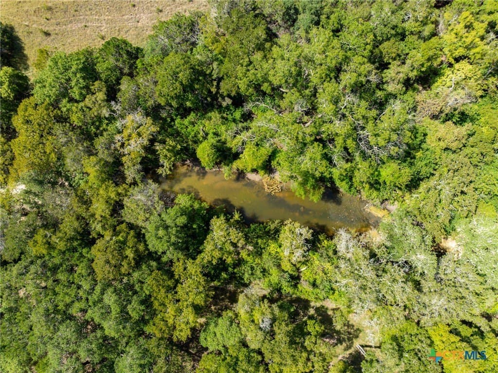 129.81 acres in Coryell County - photo 16