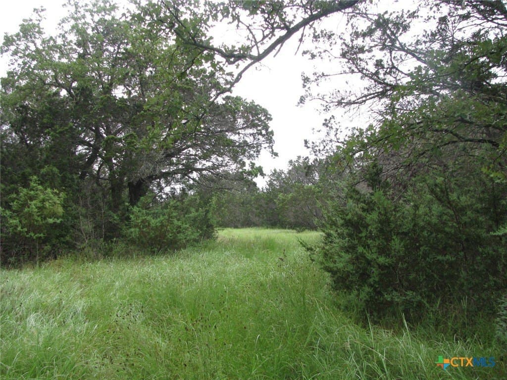 129.81 acres in Coryell County - photo 17