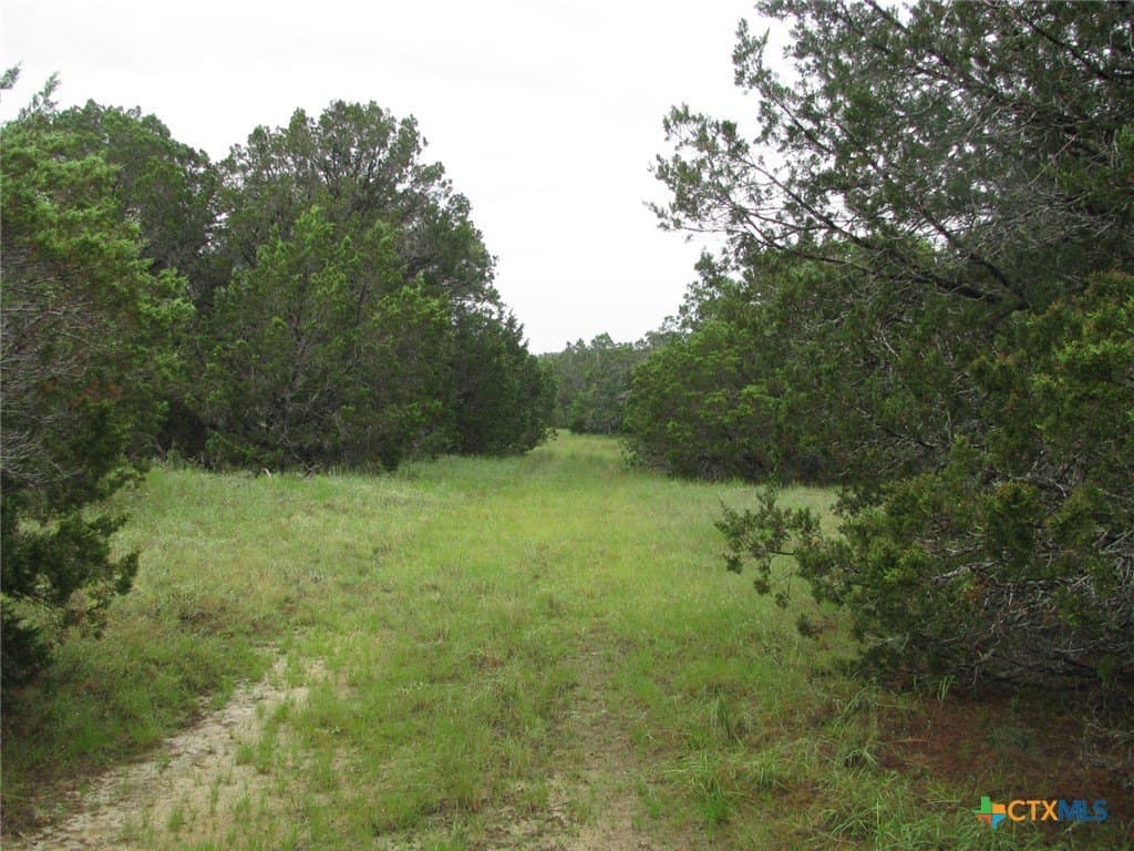 129.81 acres in Coryell County - photo 35