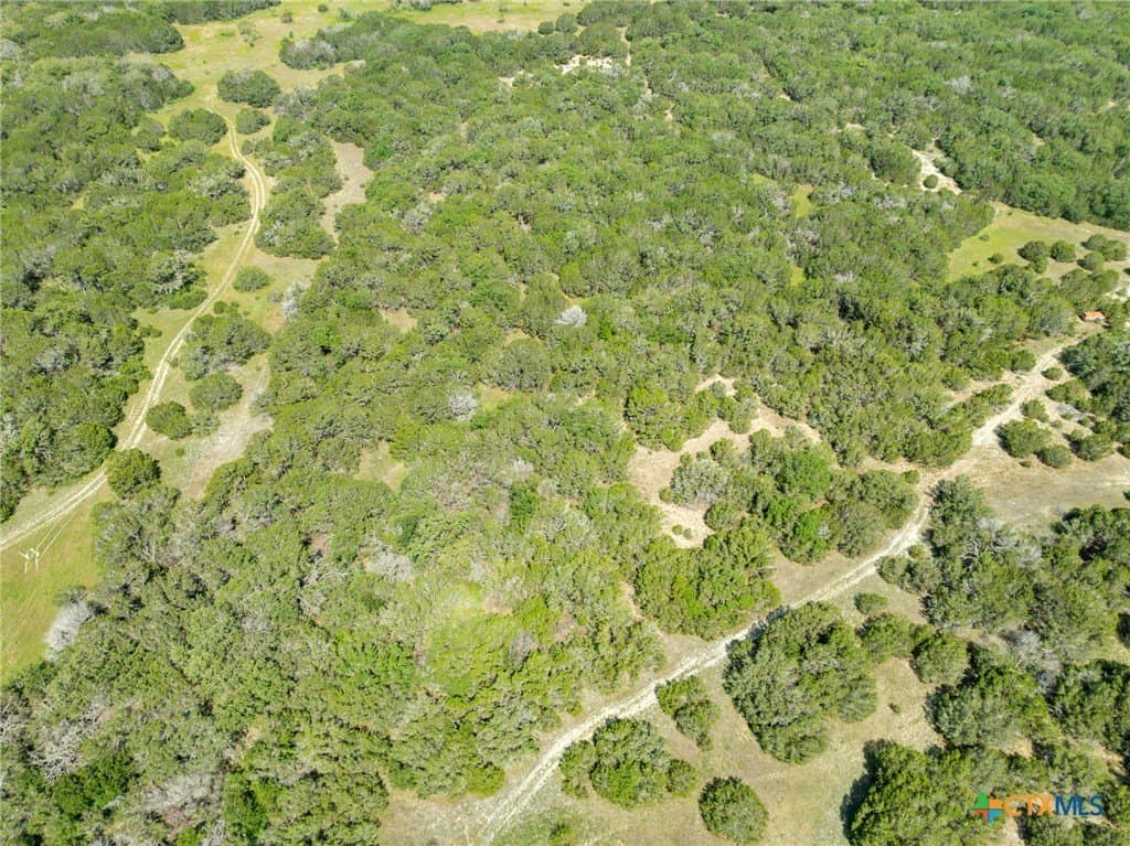 129.81 acres in Coryell County - photo 18