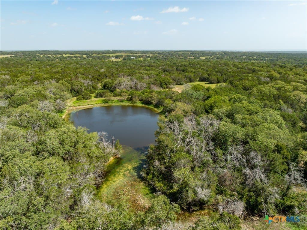 129.81 acres in Coryell County gallery image 2