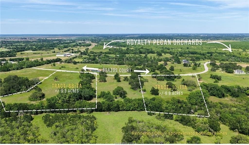 6.96 acres in Burleson County gallery image 2