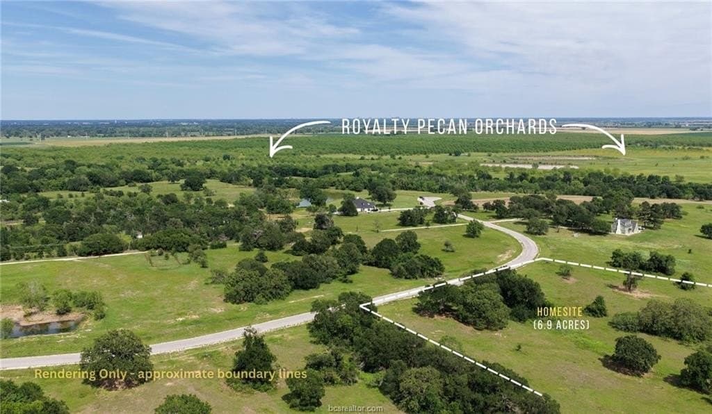 6.96 acres in Burleson County gallery image 3