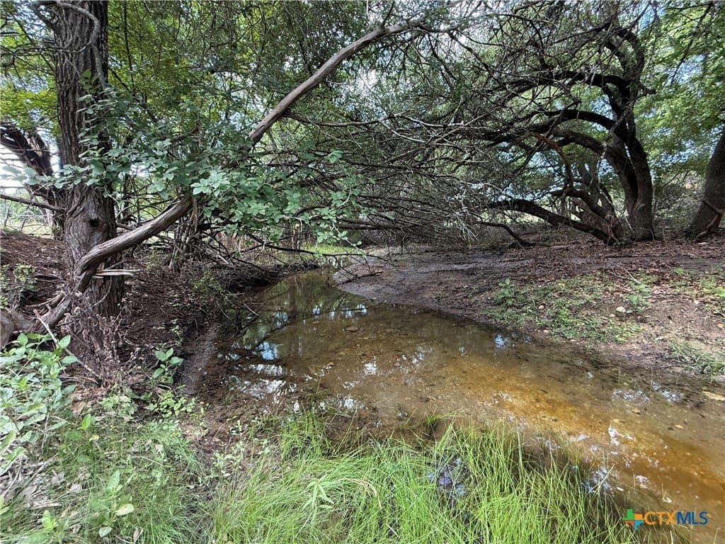 22 acres in Bell County - photo 18