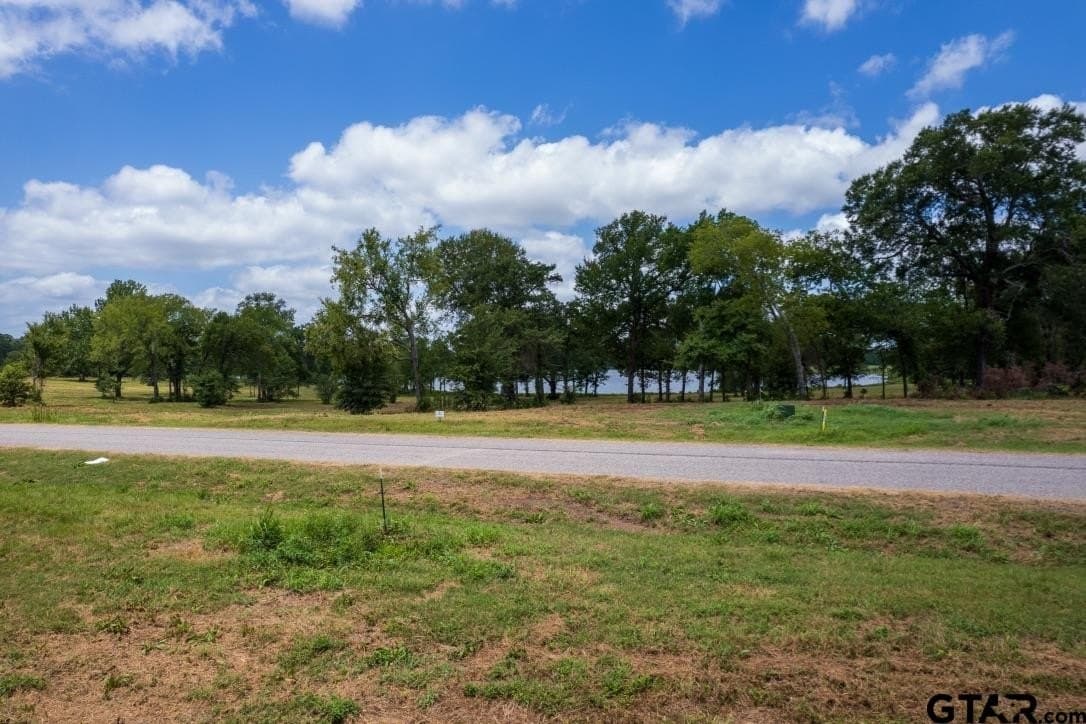 2.8 acres in Titus County - photo 7
