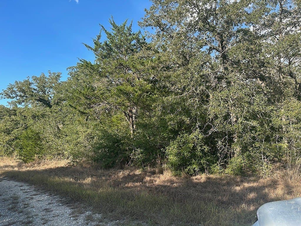 14.21 acres in Fayette County - photo 6